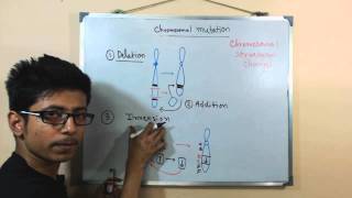 Chromosomal mutations  deletion mutation [upl. by Odnumde]