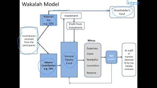 Takaful Models Urdu [upl. by Ijuy]