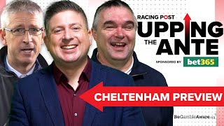 Upping The Ante  Cheltenham Preview Show 2024  Horse Racing Tips [upl. by Markson]