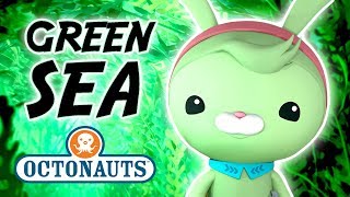 Octonauts  The Green Sea  Cartoons for Kids  Underwater Sea Education [upl. by Zerat]