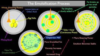 The Emulsification Process [upl. by Haibot]