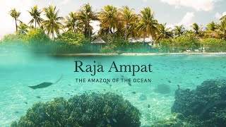 Raja Ampat  The Amazon of the Ocean [upl. by Greabe]