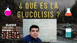 ¿Qué es la glucólisis [upl. by Kaltman]