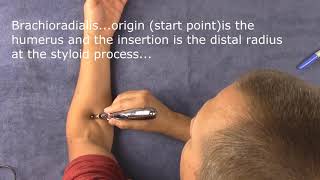 Meridian Pen Electric Acupuncture pen and how it works [upl. by Murton]