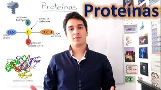 Proteínas y Aminoácidos UN MES DE CLASES EN 10 MINUTOS [upl. by Yhtak]