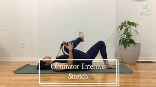 OBTURATOR INTERNUS STRETCH Follow Along [upl. by Conny]