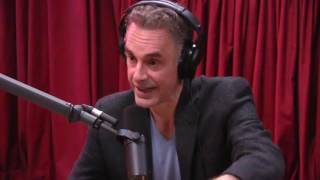 Jordan Peterson Explains the Male Dominance Hierarchy  The Joe Rogan Experience [upl. by Eirrehc125]