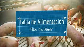 Alimentación para Cerdos  Etapa Engorde  NutriCapsula Cerdimor [upl. by Jak]