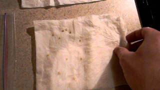 How To Germinate Seeds in a Paper Towel [upl. by Nayt]