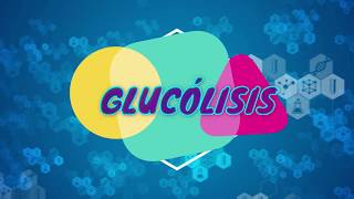 glucolisis paso a paso [upl. by Oiramd]