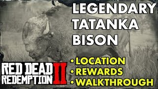 Red Dead Redemption 2  Legendary Tatanka Bison Location Rewards Walkthrough [upl. by Hgielrak]