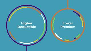 What is a High Deductible Health Plan HDHP [upl. by Boehike973]