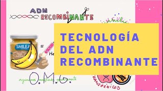 Tecnología del ADN Recombinante [upl. by Worrell]