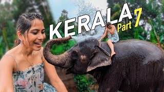 Thekkady Luxury Resort Stay  Periyar Tiger Reserve  Elephant Shower  Kerala Tourism Part 7 [upl. by Pablo]