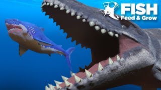 MOSASAUR vs MEGALODON  Fish Feed Grow [upl. by Akemaj]