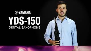 YDS150 Digital Saxophone Tutorial Basic Functions [upl. by Noyrb]