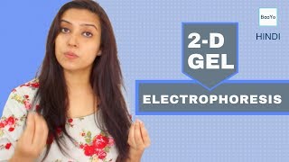 Two Dimensional 2D GEL Electrophoresis  Principle  Hindi [upl. by Montfort]