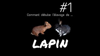 Comment commencer lélevage de lapin 1 [upl. by Assille169]