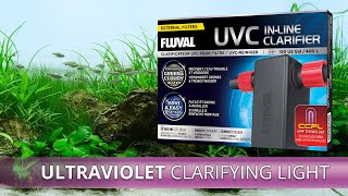 Fluval UVC InLine Clarifier  Unboxing amp Installation [upl. by Yelrehs111]