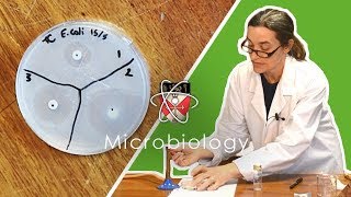 Microbiology  GCSE Science Required Practical Triple [upl. by Garfield]