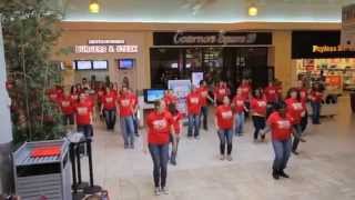 Hazelwood Elementary Flash Mob [upl. by Ybanrab]