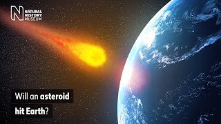 Will an asteroid hit Earth  Natural History Museum [upl. by Hess682]