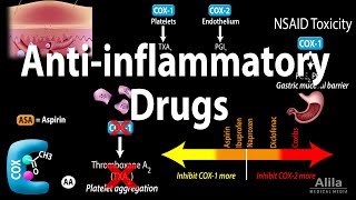 Antiinflammatory NSAIDs Drugs Pharmacology Animation [upl. by Dlaregztif]