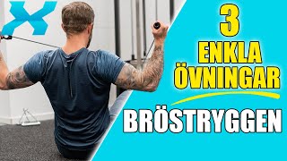 3 ENKLA ÖVNINGAR FÖR BRÖSTRYGGEN [upl. by Jacquelynn]