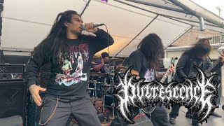 PUTRESCENCE LADM play Los Angeles Extermination Fest VI [upl. by Alyhs]