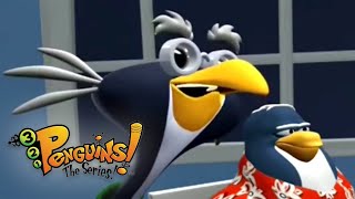 Wise Guys  321 Penguins Full Episodes  Kids Shows [upl. by Chandra]