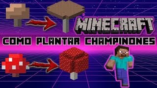 COMO PLANTAR CHAMPIÑONES EN MINECRAFT Tutorial Seta Roja o Marron GiganteEnorme [upl. by Atiuqrehs]