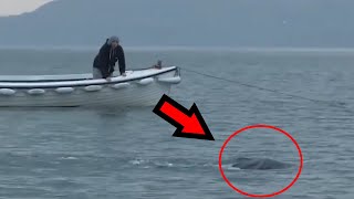 10 Unidentified Sea Monsters Caught On Film [upl. by Les]