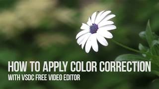 How to apply color correction in VSDC Free Video Editor [upl. by Zachar]