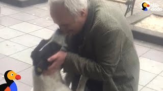 Man Films Himself Reuniting With Dog After 3 Years Apart  The Dodo [upl. by Allan]