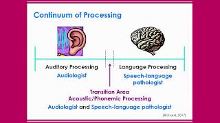 Causes of Auditory Processing Disorder [upl. by Soma977]