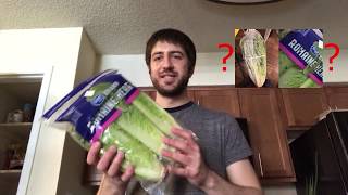 Regrow Romaine Lettuce from Grocery Store  Life Hack or Urban Legend [upl. by Collete]