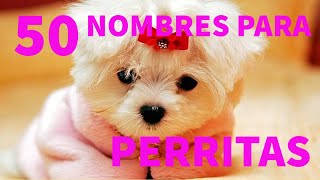 Los 50 mejores nombres para PERRITAS [upl. by Gian]