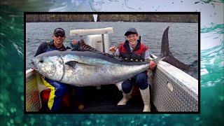 IFISH  World Record Southern Blue Fin Tuna [upl. by Nossaj]