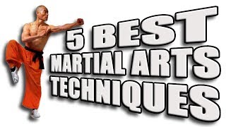 Top 5 Best Martial Arts Techniques [upl. by Aicak]