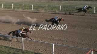 EL PADRINO  GRUPO LABERINTO [upl. by Nosreip]