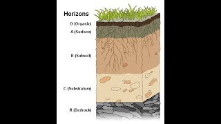 Weathering and Soil Formation [upl. by Elletsirk866]