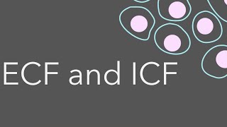 3 Intro to fluid compartments ECF and ICF [upl. by Elwee]