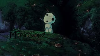 Princess Mononoke  Kodama  Music and Ambience [upl. by Toft]