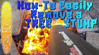 EASY DIY Tree Stump Removal A Simple HowTo Video [upl. by Nelyak98]