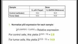 Real Time QPCR Data Analysis Tutorial part 2 [upl. by Marb]