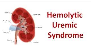 Hemolytic Uremic Syndrome [upl. by Merridie823]