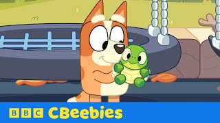 Bingo Finds Turtleboy  Bluey  CBeebies [upl. by Alegnad]