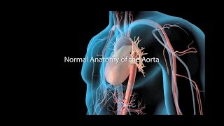 Neck DissectionTypes and Classification [upl. by Godding]