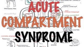 Compartment Syndrome  Overview signs and symptoms pathophysiology treatment [upl. by Clercq]