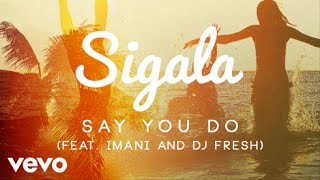 Sigala  Say You Do Official Audio ft Imani Williams DJ Fresh [upl. by Wain925]